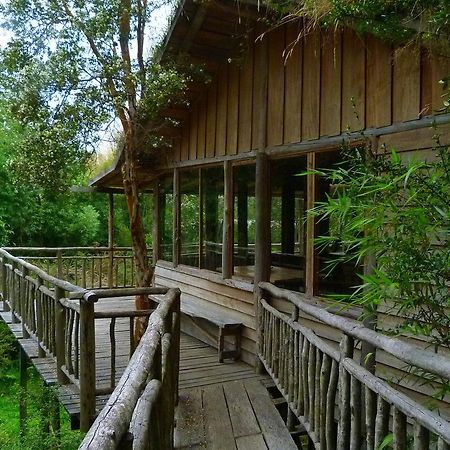 Puelo Siempreverde Villa Puelo River Dış mekan fotoğraf