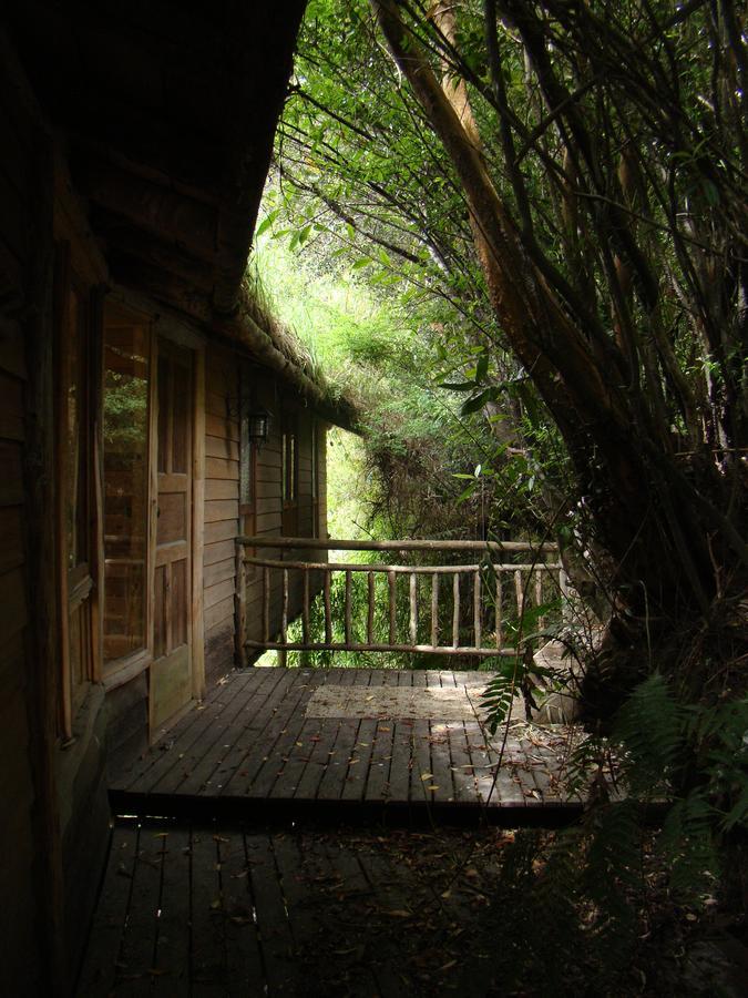 Puelo Siempreverde Villa Puelo River Dış mekan fotoğraf